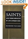Saints and Their Miracles in Late Antique Gaul