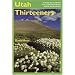 Utah Thirteeners