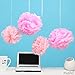 Pom Poms - 15pcs Tissue Paper Flowers,2 Different Colors,2 Sizes, Tissue Paper Pom Poms, Mother's Day decoration, Wedding Decor, Party Decor, Tissue Paper Pink, Tissue Paper Flowers Kit, Wedding, For Baby Shower -Pink and Light Pink