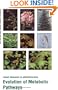 Evolution of Metabolic Pathways, Volume 34 (Recent Advances in Phytochemistry)