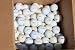 100 gebrauchte Golfbälle (Lakeballs, Markenbälle)