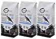 BuyWell Blackbird Decaf Blend, 100% Fair Trade Organic, 12-Ounce Bags (Pack of 3) WHOLE BEAN