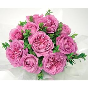 Emily Purely Rose Bouquet (25 roses)