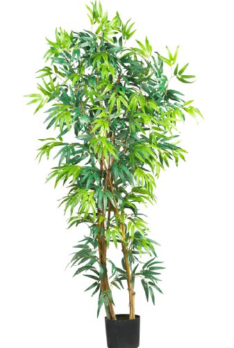 5′ Fancy Style Bamboo Silk Tree
