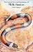 General Care & Maintenance of Milk Snakes (General Care and Maintenance of Series)