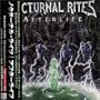 Afterlife