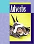 Adverbs (Magic of Language)