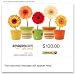 Amazon Gift