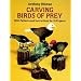 Carving Birds of Prey: With Patterns and Instructions for 12 Projects