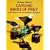 Carving Birds of Prey: With Patterns and Instructions for 12 Projects