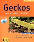 Geckos: Gut gepflegt und vital. Mit den 10 GU-Erfolgstipps. Gecko-Terrarien artgerecht gestalten. Pflege-Einmaleins für Tier und Einrichtung