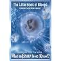 The Little Book of Bleeps: Excerpts from the Award-Winning Movie What the (#$%&) Bleep Do We Know