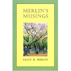 Merlin's Musings