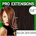 Pro Extensions, 14