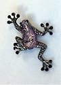 Purple Frog Brooch