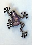 Purple Frog Brooch