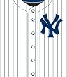 Turner MLB New York Yankees Stretch Book Covers (8190019)