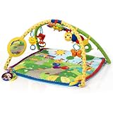 Baby Einstein Seek and Discover Deluxe Gym by Baby Einstein