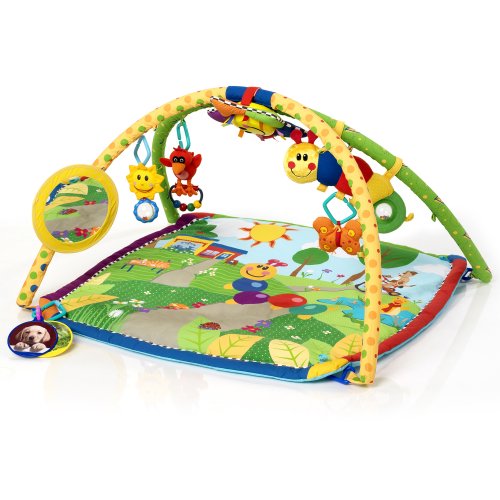 Baby Einstein Seek and Discover Deluxe Gym