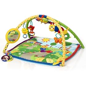 Baby Einstein Seek and Discover Deluxe Gym by Baby Einstein