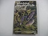 Watching seashore life