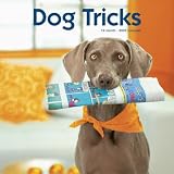 Dog Tricks 2009 Calendar