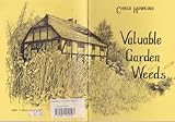 Valuable garden weeds