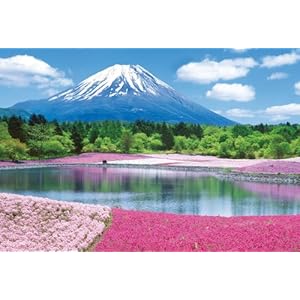 【クリックで詳細表示】1000ピース 富士を彩るシバザクラ 71-370