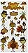 Sticko Harvest Stickers-Happy Thanksgiving