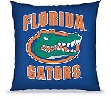 Biederlack NCAA Florida Floor Pillow