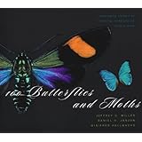 100 butterflies and moths portraits from the tropical forests of costa rica