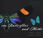 100 Butterflies and Moths: Portraits...
