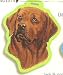   - Chocolate Labrador Luggage Tag