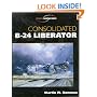 Consolidated B-24 Liberator (Crowood Aviation)