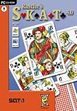 Eigenschaften dtp Entertainment AG  / Rasche's Skat 4.0