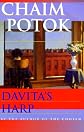 Davitas Harp by Chaim Potok