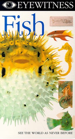 Eyewitness - Fish (1995)