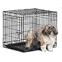 Midwest 1524DD 24-By-18-By-19-Inch iCrate Double-Door Pet Crate