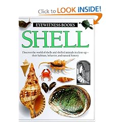 Shell (Eyewitness Books)