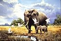 Ravensburger Puzzle - Elephants at the Waterhole (500 pieces)