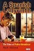 A Spanish Labyrinth: Films of Pedro Almodovar, The