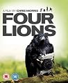 Four Lions - Special Edition [DVD]