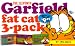The Eleventh Garfield Fat Cat
