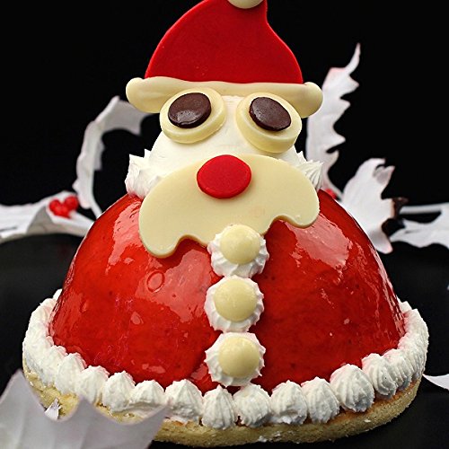 クリスマスケーキ 立体ケーキ「サンタクロースのストロベリーケーキ」 オーガニックサイバーストア
