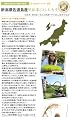 新潟県佐渡島産 コシヒカリ 「里田米」 精米 2kg 【23年産】
