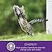 Wellness Complete Health Natural Dry Healthy Weight Cat Food, Chicken & Whitefish, 5-Pound Bag
