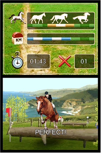 Horse Life image