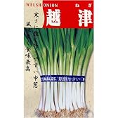 寒さに強い!　越津中葱(一般種)　数量:15ml