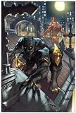 Black Panther: The Man Without Fear Volume 1: Urban Jungle (Black Panther (Unnumbered))