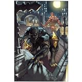 Black Panther: The Man Without Fear 1par David Liss